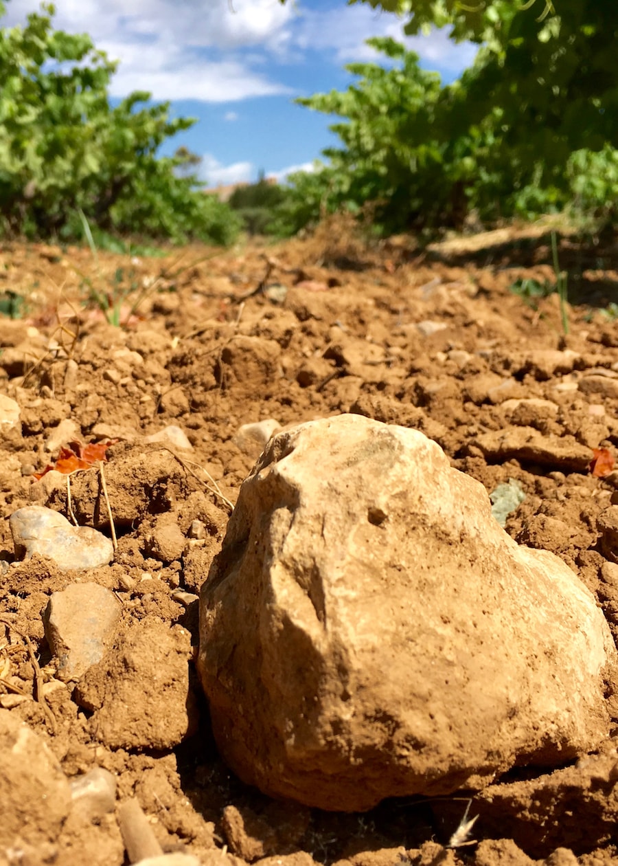 viña-piedra-vertical-vino-blanco-min